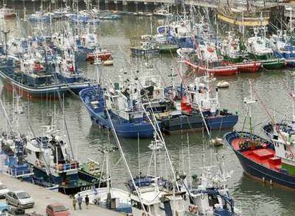 Pesqueros amarrados en el puerto bilbaíno de Bermeo.