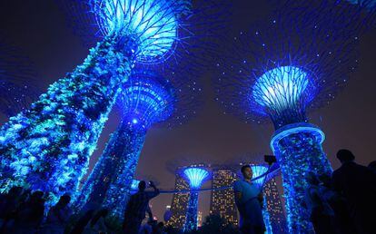 Los Árboles Gigantes de Singapur, en los Jardines de la Bahía.