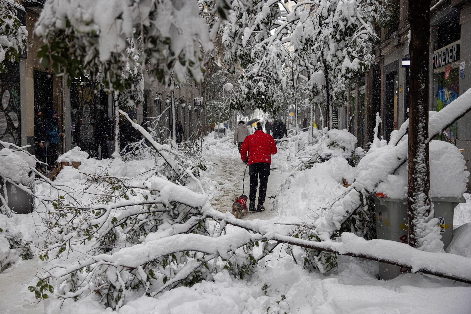 Varias personas pasean por la calle Fuencarral en Madrid, en la que numerosos árboles y parte de la iluminación de navidad no han resistido el peso de la nieve.