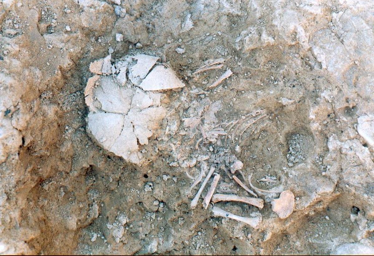 Los antiguos habitantes del norte de la Península enterraban con mimo a sus hijos con síndrome de Down | Ciencia