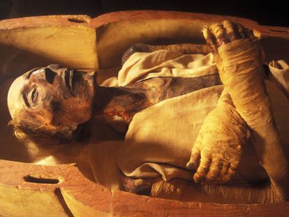 Momia del faraón Ramsés II en el Museo Egipcio de El Cairo.