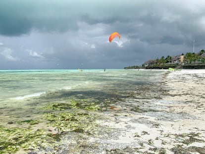 La marea retrocede más de un kilómetro cada mañana en la costa este de Zanzíbar debido a la barrera de coral. Al atardecer sube y deja casi sin arena a la playa de Jambiani