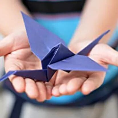 Libro de origami para niños - wipni papiroflexia para niños
