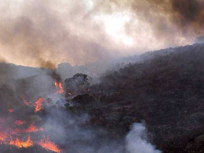 Incendio en las inmediaciones del pantano del Vicario, en una foto de 2005. 