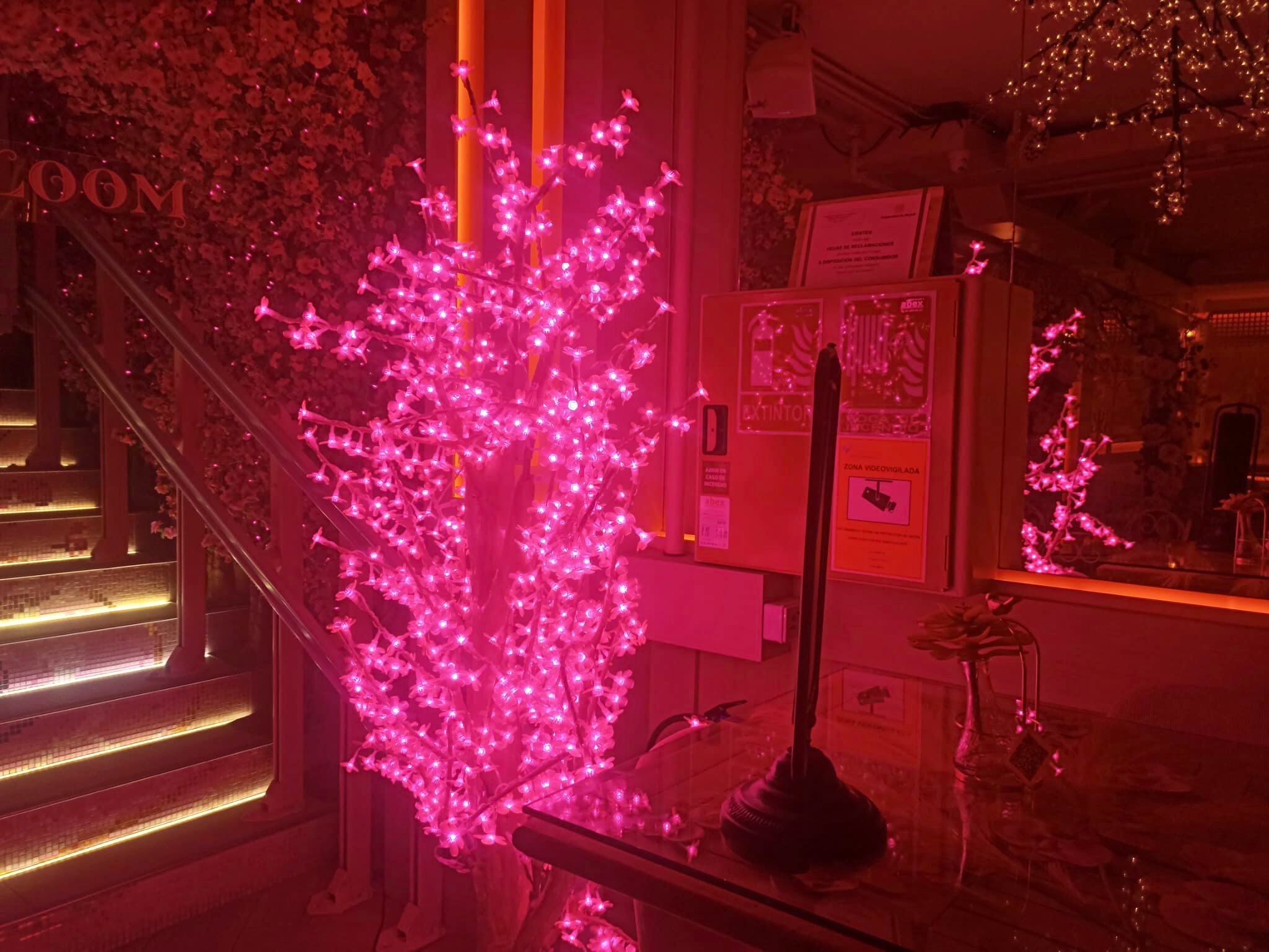El recibidor del restaurante Bloom (Madrid), donde están colocados el extintor y la boca de riego, dentro de una caja y detrás de un árbol de luces. 