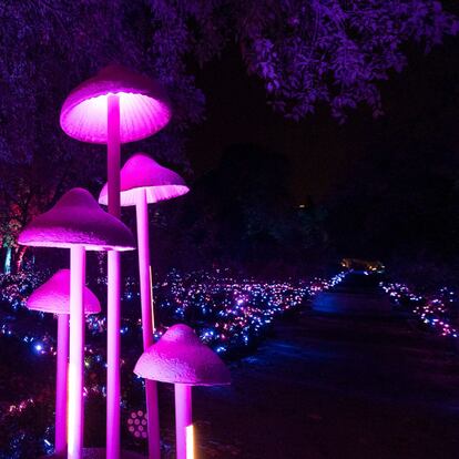 Naturaleza Encendida