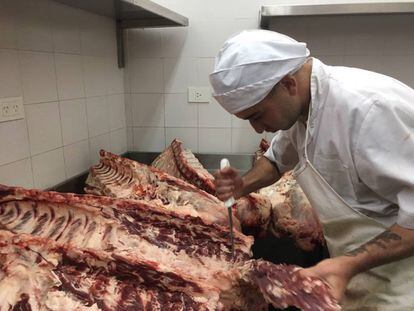 DESPIEZANDO LOS COSTILLARES / CAPEL