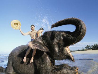 Turistas montados en un elefante en la playa de Bentota, Sri Lanka.