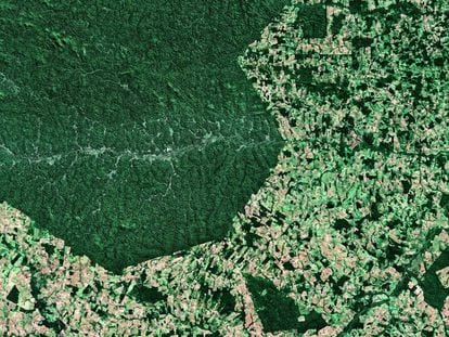 La deforestación en el sur del Estado de Pará, en Brasil, a finales de junio de 2017.