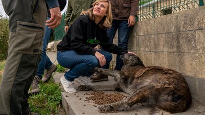 La ministra de Educación, Pilar Alegría, visitaba el domingo la protectora de animales Asproan en Santander.