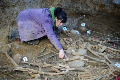 Trabajos de exhumaci&oacute;n de restos de una fosa de la Guerra Civil en Zigoitia (&Aacute;lava).