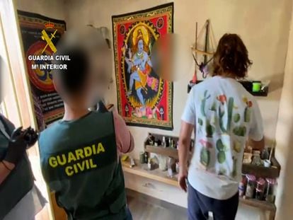 La casa del matrimonio detenido en Alicante por ofrecer sustancias psicotrópicas como la ayahuasca o las escamas de sapo bufo.