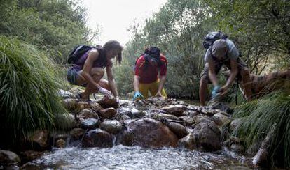 Voluntarios limpian La Pedriza el pasado agosto.