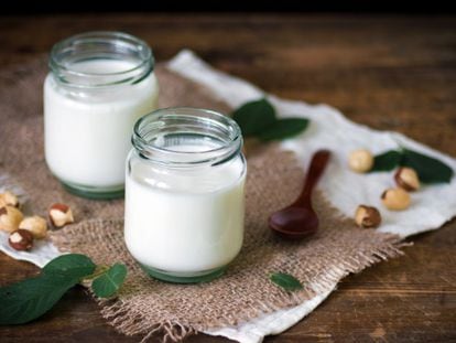 Los yogures son productos que conllevan fermentación y contienen microorganismos vivos.