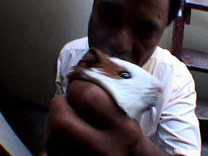 El maestro andino, don Jorge, bendiciendo un conejo con el que limpiara el cuerpo de su paciente