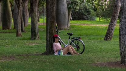 Una mujer lee un libro en un parque de Valencia.