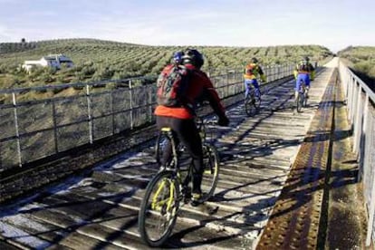 Ciclistas en la antigua vía del Tren del Aceite, en Jaén, hoy convertida en la vía verde del Aceite.