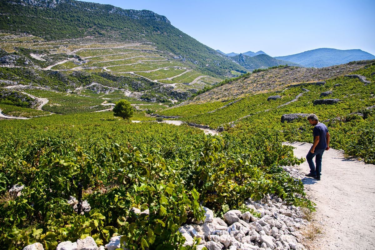 En busca de vino en la costa sur de Croacia