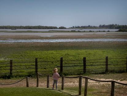 Una niña mira las aves en la marisma de Doñana desde la aldea de El Rocío.