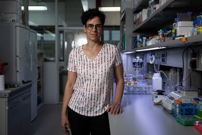 Nuria Lopez-Bigas, ICREA research professor at IRB Barcelona.