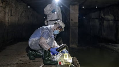 Los técnicos recogen muestras de aguas fecales en el colector norte de la ciudad de Valencia.