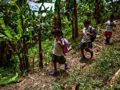 Tres niños de la comunidad Ella Puru Embera, en la provincia de Colón (Panamá) caminan por el bosque para ir a la escuela, en noviembre de 2022.