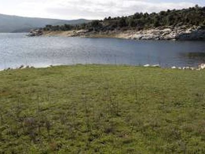 En cuanto a la mayor cantidad de lluvias, la problemática es que se desarrollen más hongos que destruyen las plantas y perjudican la productividad. EFE/Archivo