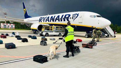 A Belarusian dog handler checks luggages off a Ryanair Boeing 737-8AS (flight number FR4978) parked on Minsk International Airport's apron in Minsk, on May 23, 2021. - Belarusian opposition Telegram channel Nexta said Sunday its former editor and exiled opposition activist Roman Protasevich had been detained at Minsk airport after his Lithuania-bound flight made an emergency landing. Protasevich was travelling aboard a Ryanair flight from Athens to Vilnius, which made an emergency landing following a bomb scare, TASS news agency reported citing the press service of Minsk airport. "The plane was checked, no bomb was found and all passengers were sent for another security search," Nexta said. "Among them was... Nexta journalist Roman Protasevich. He was detained." (Photo by - / ONLINER.BY / AFP) / RESTRICTED TO EDITORIAL USE - MANDATORY CREDIT "AFP PHOTO / ONLINER.BY " - NO MARKETING - NO ADVERTISING CAMPAIGNS - DISTRIBUTED AS A SERVICE TO CLIENTS