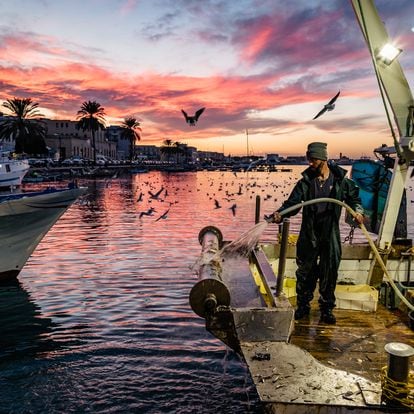 A fisherman is cleaning his fishing boat after sorting the catch from trawling to prepare for a direct sale in the Port of Molfetta, Italy, on December 1, 2023. (Photo by Davide Pischettola (NurPhoto / Getty Images)