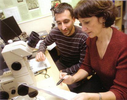 Los investigadores Gina Semprebon y Florent Rivals analizando los datos de mesodegaste dental para evaluar las dietas de los caballos fósiles y sus cambios a lo largo del tiempo.