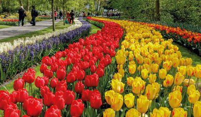 Parque Keukenhof, Lisse (Holanda)