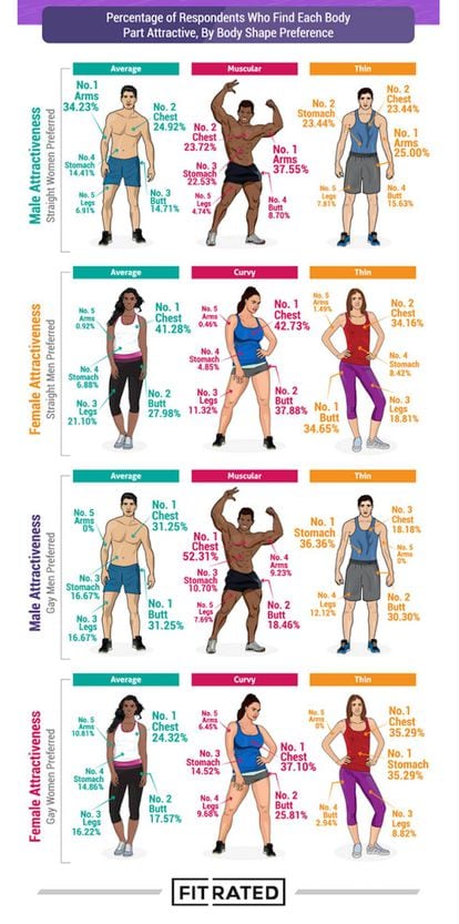 La ilustración de Fit Rated muestra las partes del cuerpo que los encuestados encuentran atractivas según su preferencia corporal.