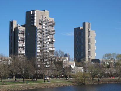 El Peabody Terrace, un edificio icónico que define el perfil de Cambridge desde el río Charles.