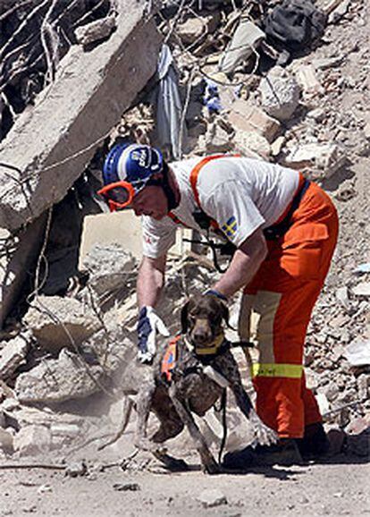 Un socorrista sueco, con su perro, buscando entre las ruinas en Bumerdés.