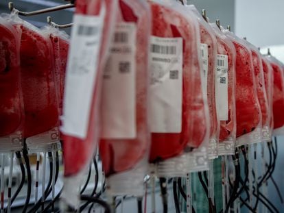 Bolsas de sangre del centro de transfusión de Valdebernardo, en Madrid (España).