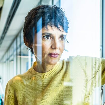 DVD 1181 (06-10-23) La actriz Elena Anaya, en las oficinas de SkyShowtime, en Madrid. SAMUEL SÁNCHEZ