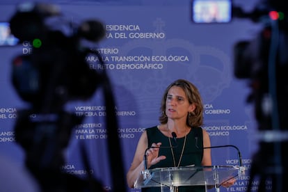 La ministra para la Transición Ecológica y el Reto Demográfico, Teresa Ribera, atiende a la prensa tras la reunión telemática con los responsables autonómicos.