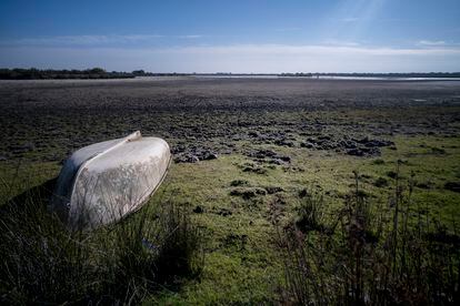 Almonte/Huelva/26-10-2021: Estado actual de la Laguna de Santa Olalla en el Parque Nacional de Do–ana.
FOTO: PACO PUENTES/EL PAIS