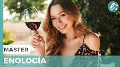 Amplía tus conocimientos vinícolas y de cata si te apasiona el vino. ¡Pide más información aquí!