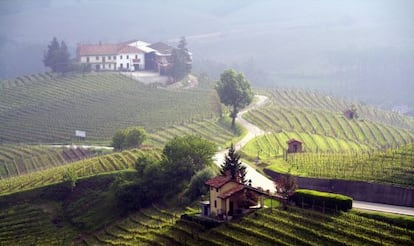 Paisaje de colinas y viñedos en las cercanías de Barolo.