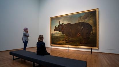 Retrato del rinoceronte 'Clara' por Jean-Baptiste Oudry (1749), expuesto en el Rijksmuseum de Ámsterdam.