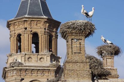 Cigüeñas en la colegiata de San Miguel de Alfaro.