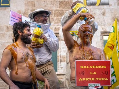 Dos profesionales de la apicultura se embadurnan en miel durante la protesta convocada por las organizaciones profesionales agrarias y entidades relacionadas con el sector apícola ante el Parlamento autonómico.