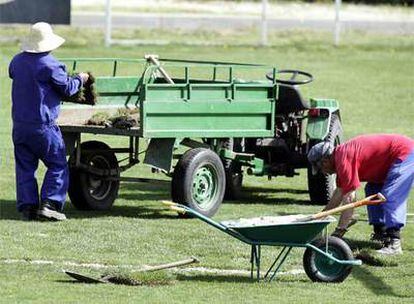 Dos trabajadores sustituyen el césped en un estadio de fútbol