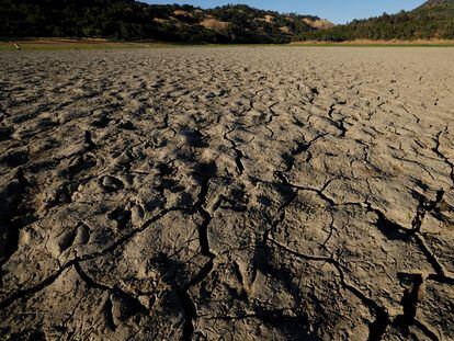 Fotografía del lecho seco del Lago Mendocino, el pasado día 22 de junio, en Ukiah (Estados Unidos).