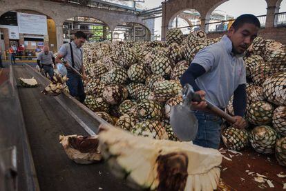 Las piñas de agave entran en los hornos de la destilería La Primavera.