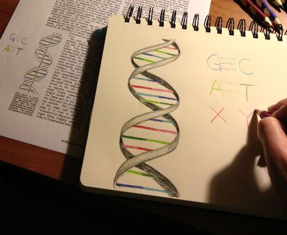 X e Y son las dos nuevas letras de ADN artificial.