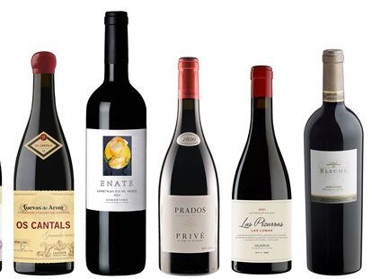 Siete vinos tintos de Aragón, recios y elegantes