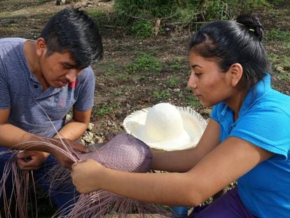 Productores de Jipijapa, México, participan en proyecto de conservación y protección de los bosques.