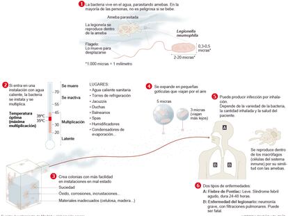 El contagio de legionelosis